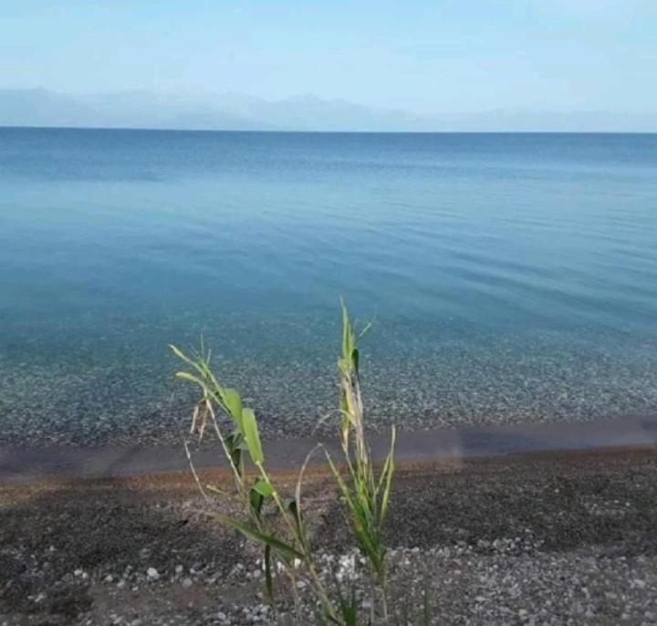 Golden Sea Villa Καλαμάτα Εξωτερικό φωτογραφία