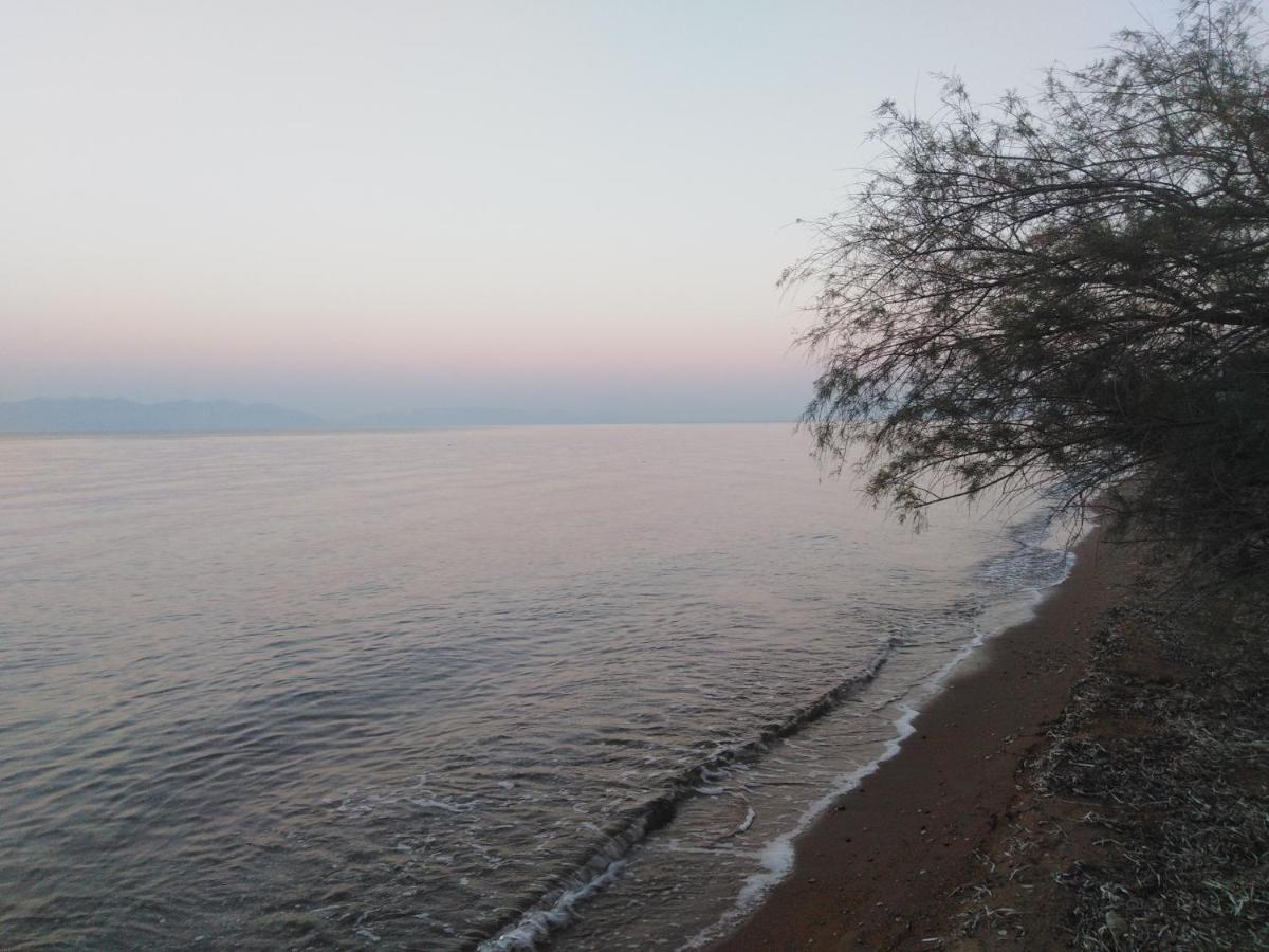 Golden Sea Villa Καλαμάτα Εξωτερικό φωτογραφία